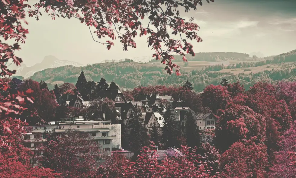 Magical journeys through Sweden via the motorway with an e-vignette