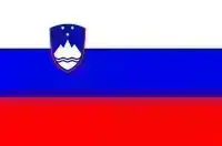 Slovenia - VEHICLE REGISTRATION 2025